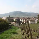Hotel L'auberge Du Brand 2*