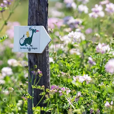 Hotel L'auberge Du Brand Turckheim