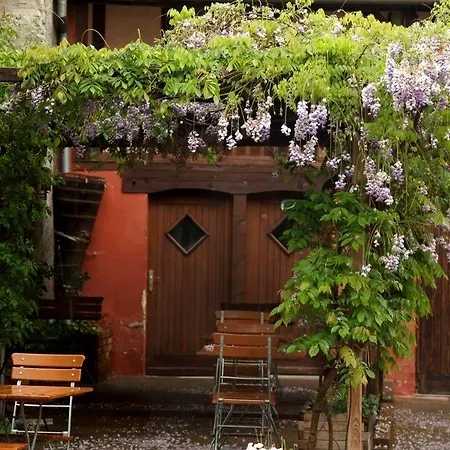 Hotel L'auberge Du Brand Turckheim