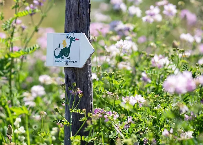 Hotel L'auberge Du Brand Turckheim