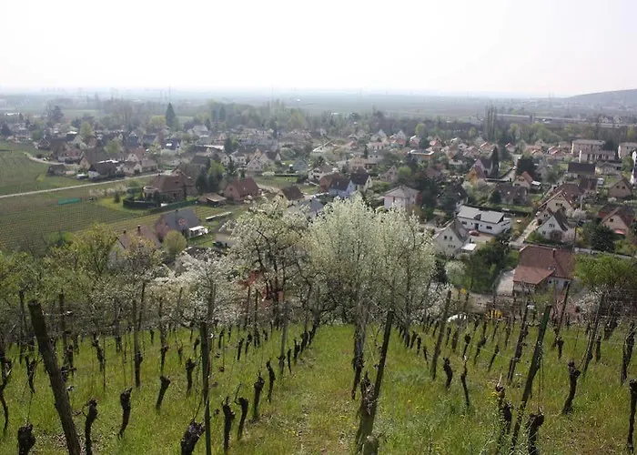Hotel L'auberge Du Brand 2*